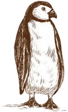 a penguin with a white background.jpg
